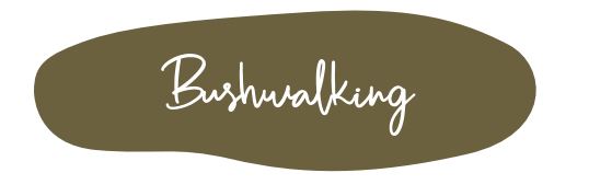 Bushwalking Mint Mineral Paint 120ml