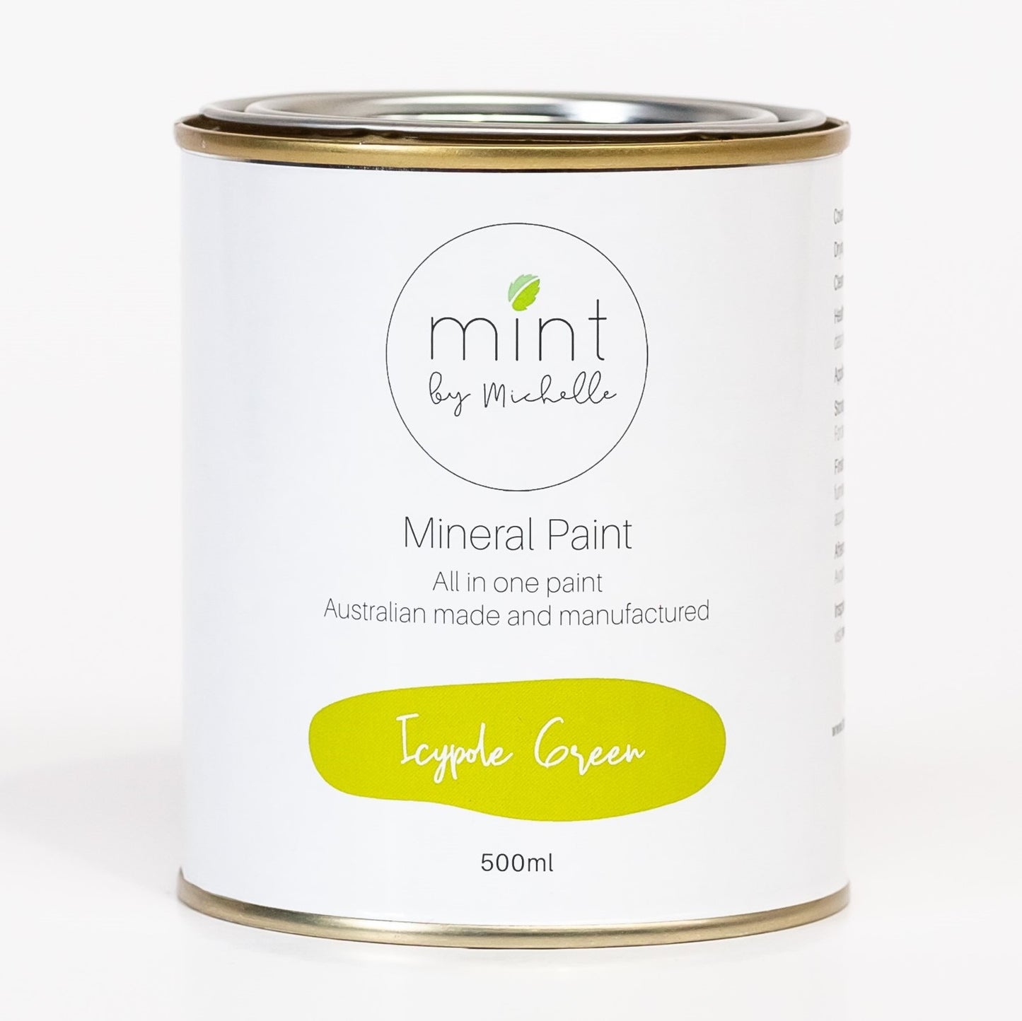 Icypole Mint Mineral Paint 500ml