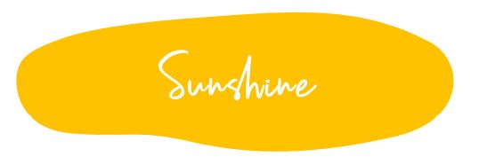 Sunshine Mint Mineral Paint 120ml